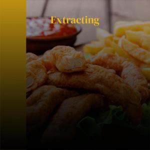 Various的专辑Extracting