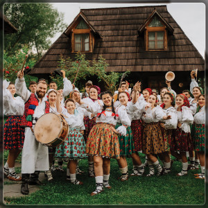 Album Ai Picat Pă Mâna Me` from DENISA POP