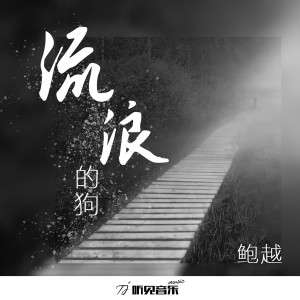 Listen to 流浪的狗 (正式版伴奏) song with lyrics from 鲍越
