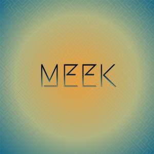 อัลบัม Meek ศิลปิน Various