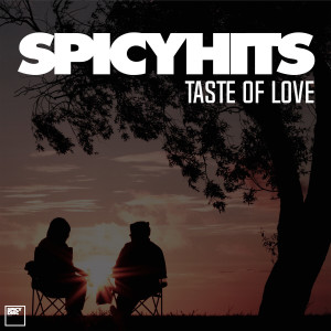 Various的专辑SPICYHITS - TASTE OF LOVE
