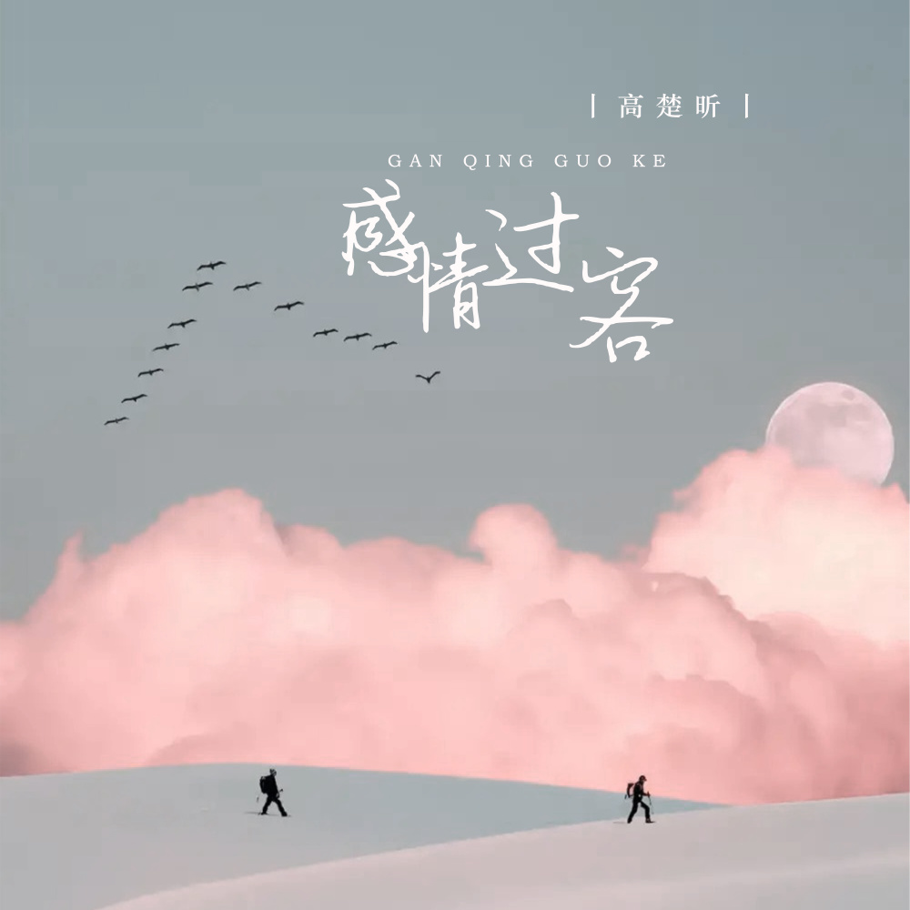 感情过客