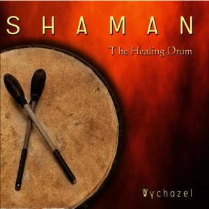 ดาวน์โหลดและฟังเพลง Spirit Journey พร้อมเนื้อเพลงจาก Wychazel