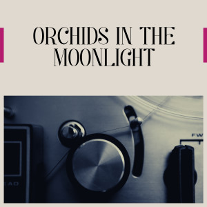 Les Baxter & His Orchestra的專輯Orchids in the Moonlight