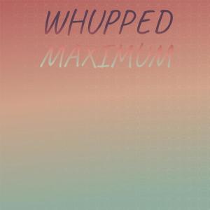 Album Whupped Maximum from Various