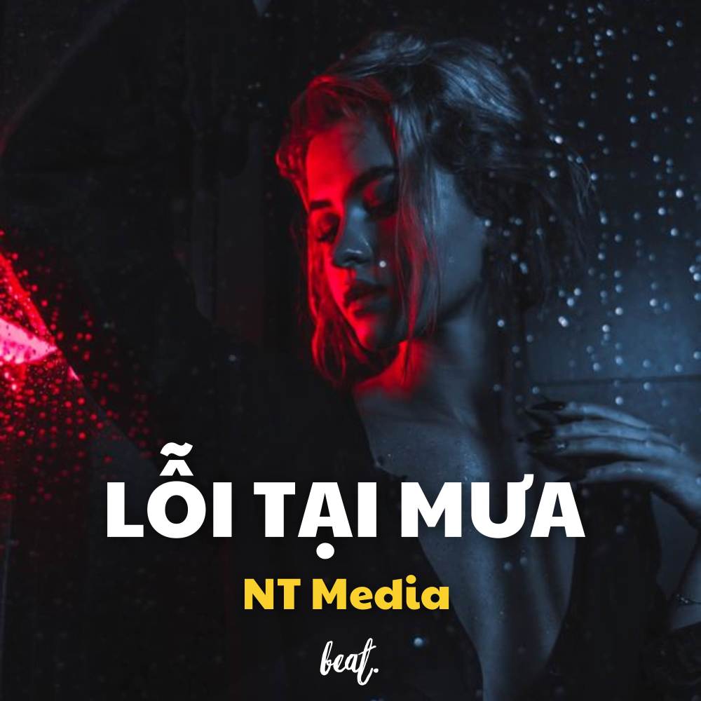 Lỗi Tại Mưa - Beat (NT Media Remix)