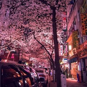 ดาวน์โหลดและฟังเพลง got me bad (Explicit) พร้อมเนื้อเพลงจาก shoruda