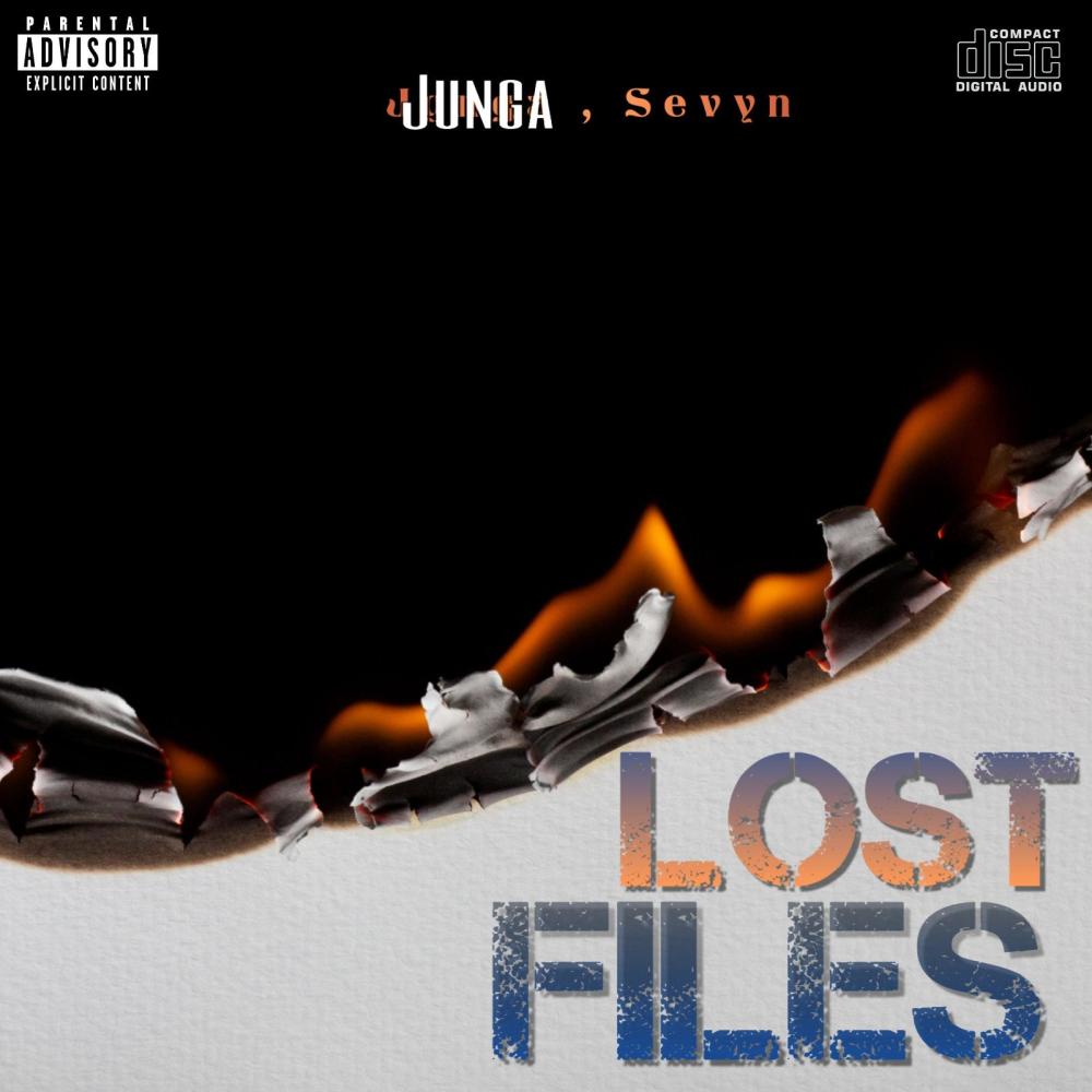 Lost file (feat. Luh Savy & Sevyn) (Explicit)
