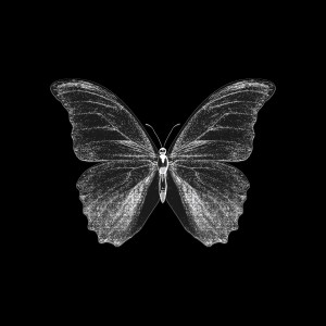 ดาวน์โหลดและฟังเพลง Overthinker พร้อมเนื้อเพลงจาก Babymoench