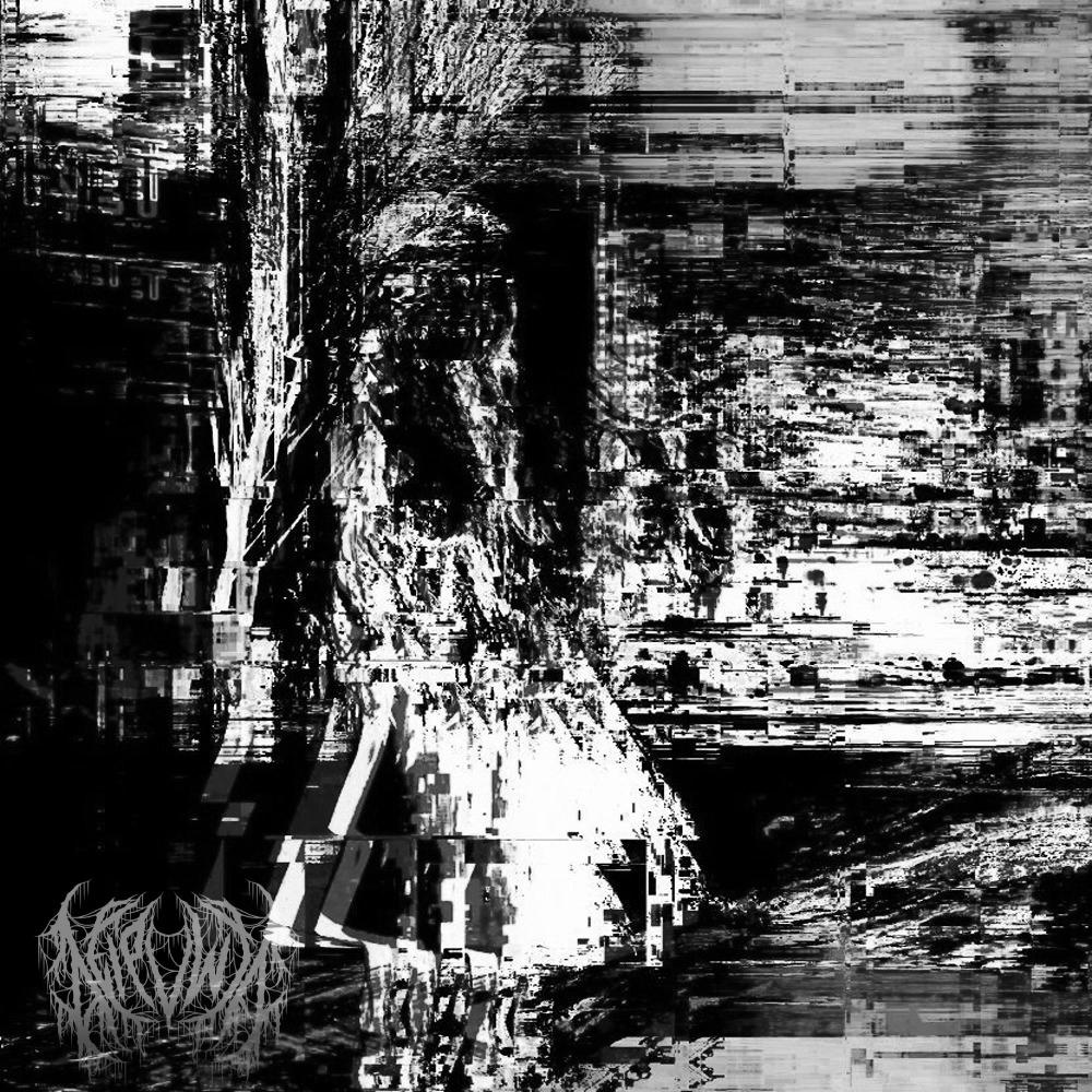 Fluxxwave, but its phonk