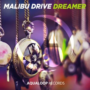 Dengarkan Dreamer (Topmodelz Remix) lagu dari Malibu Drive dengan lirik