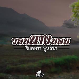 Listen to วอนนางนอน song with lyrics from จินตหรา พูนลาภ
