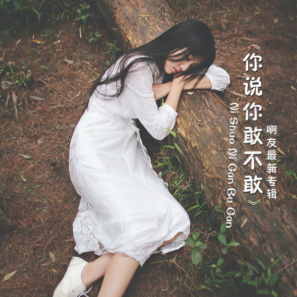 你说你敢不敢 (伴奏)