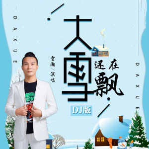 雷瀚的專輯大雪還在飄 (DJ版)