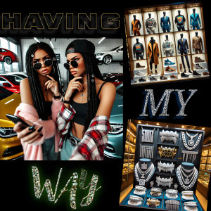 Having My Way (Explicit) dari SPIIROW