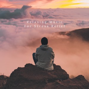 Album Relaxing Music For Stress Relief from Meditation Awareness
