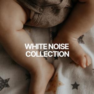 Album White Noise Collection oleh Official White Noise Collection