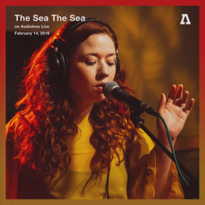 Dengarkan Love We Are We Love (Audiotree Live Version) lagu dari The Sea The Sea dengan lirik