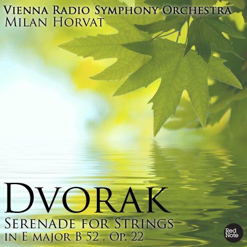 Serenade for Strings in E Major, Op.22, B 52: IV. Larghetto