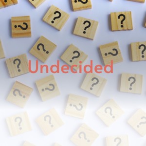 Various Artists的专辑Undecided (Explicit)