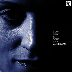 Alice Lamb的專輯How Deep Is Your Love
