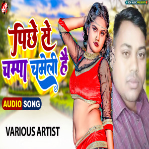 Listen to Kamariya Ke Thumka song with lyrics from Dhananjay Kumar