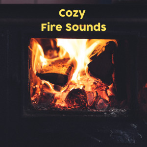 Listen to Wood Burning ASMR song with lyrics from Deep Sleep Relaxation