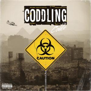 ดาวน์โหลดและฟังเพลง Paradise (Explicit) พร้อมเนื้อเพลงจาก Coddle