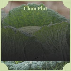 收听Ahmet的Squalid Course歌词歌曲