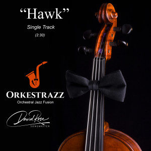 David Rose的專輯Hawk
