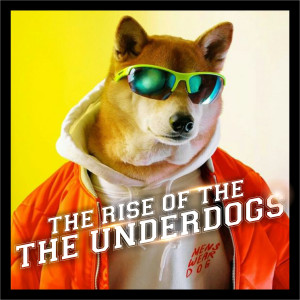 Album The Rise of the Underdogs from Various