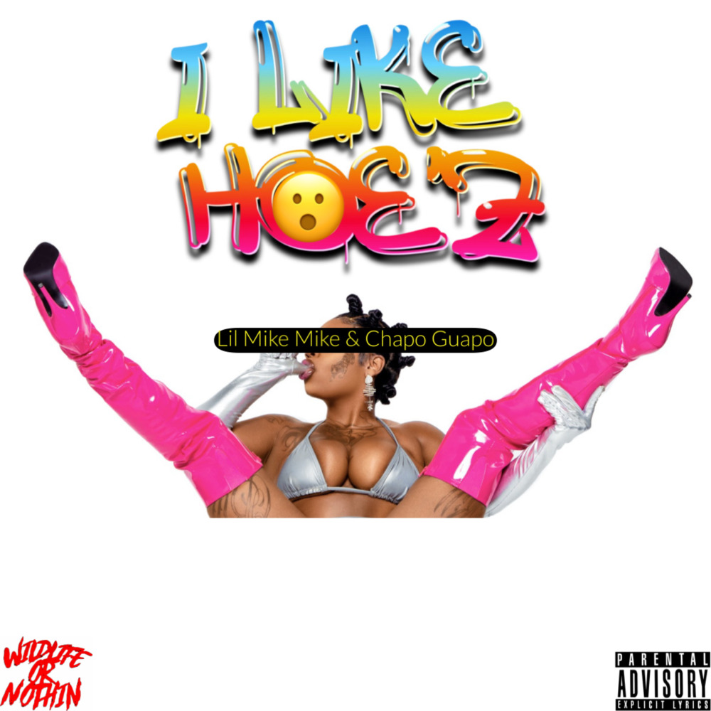 I Like Hoez (Explicit)
