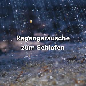 Album Regengeräusche zum Schlafen oleh Regengeräusche zum Schlafen