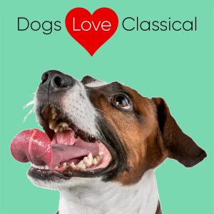 Listen to Suite in G Major, Z. 660 song with lyrics from Dogs Love Classical