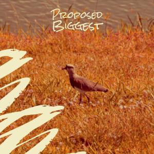 Listen to Required Yon song with lyrics from Flen Rhob