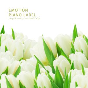 Dengarkan Little joy lagu dari Anemone dengan lirik