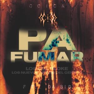 收聽Los Del Bloke的PA FUMAR (feat. ccica, Da.Bid & kid pucca)歌詞歌曲