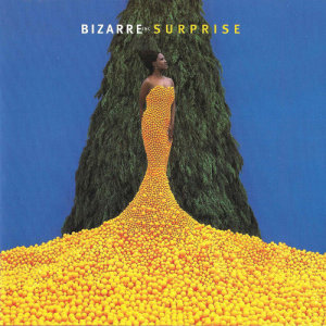 ดาวน์โหลดและฟังเพลง Never Give You Up พร้อมเนื้อเพลงจาก Bizarre Inc.