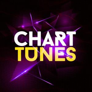 ดาวน์โหลดและฟังเพลง The Hills พร้อมเนื้อเพลงจาก Chart Tunes