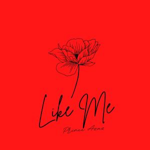 Listen to LIKE ME song with lyrics from Prince Azaz
