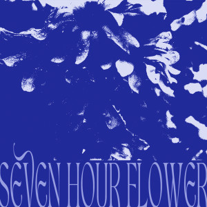 Listen to Seven Hour Flower song with lyrics from Deuce