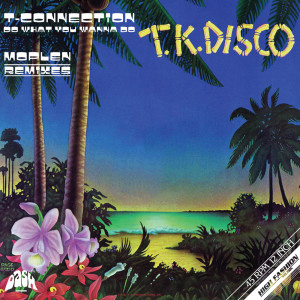 Dengarkan Do What You Wanna Do (Disco Version) lagu dari T-Connection dengan lirik