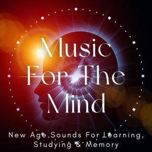 Power Shui的专辑Music For The Mind: New Age Sounds For Learning, Studying & Memory