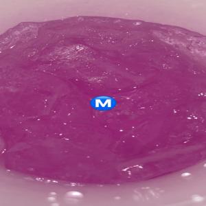 ดาวน์โหลดและฟังเพลง off the roxy (Explicit) พร้อมเนื้อเพลงจาก CJ HUNTER