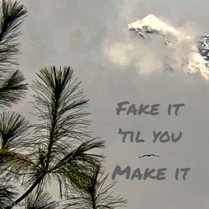 Listen to Fake It Til You Make It song with lyrics from Brian Thomas