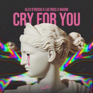 收聽Alex D'rosso的Cry for You歌詞歌曲