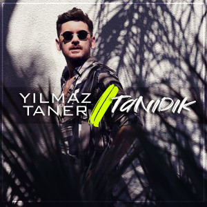 Album Tanıdık from Yilmaz Taner
