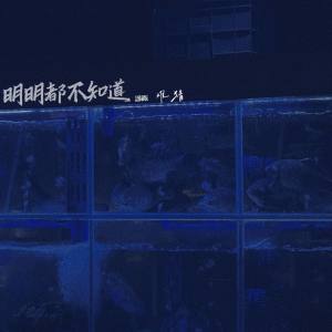 Listen to 明明都不知道 (语录版) song with lyrics from 难猜