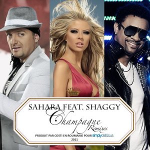 ดาวน์โหลดและฟังเพลง Champagne (feat. Shaggy) [XRAY Club Mix] (XRAY Club Mix) พร้อมเนื้อเพลงจาก Sahara