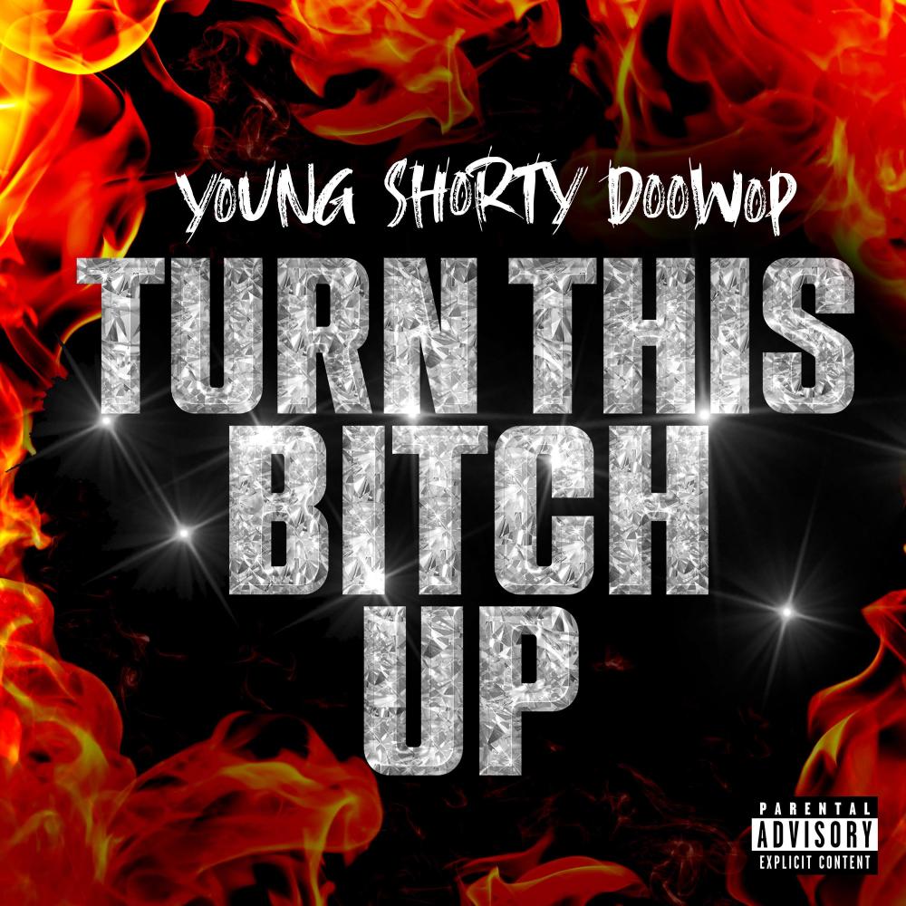 Turn This Bitch Up (Explicit)